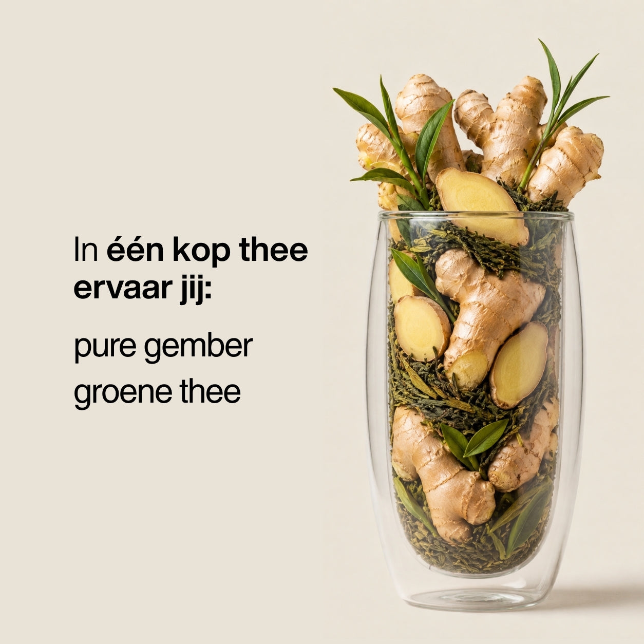 Gember met Groene Thee | Licht, fris & mild