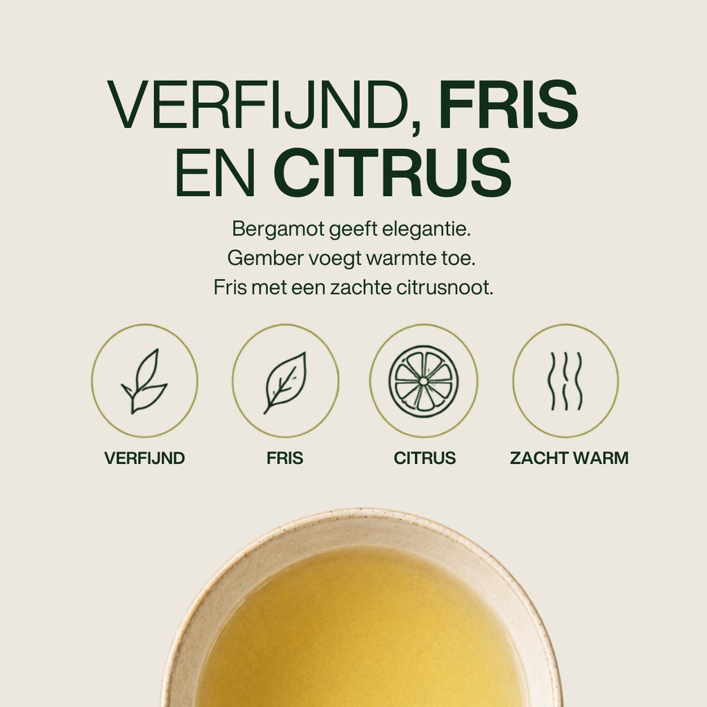 Gember Earl Grey | Bergamot met een gemberkick
