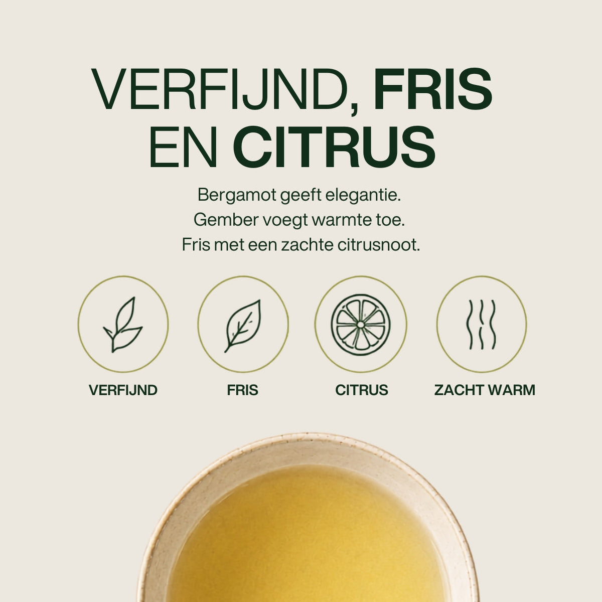 Gember Earl Grey | Bergamot met een gemberkick