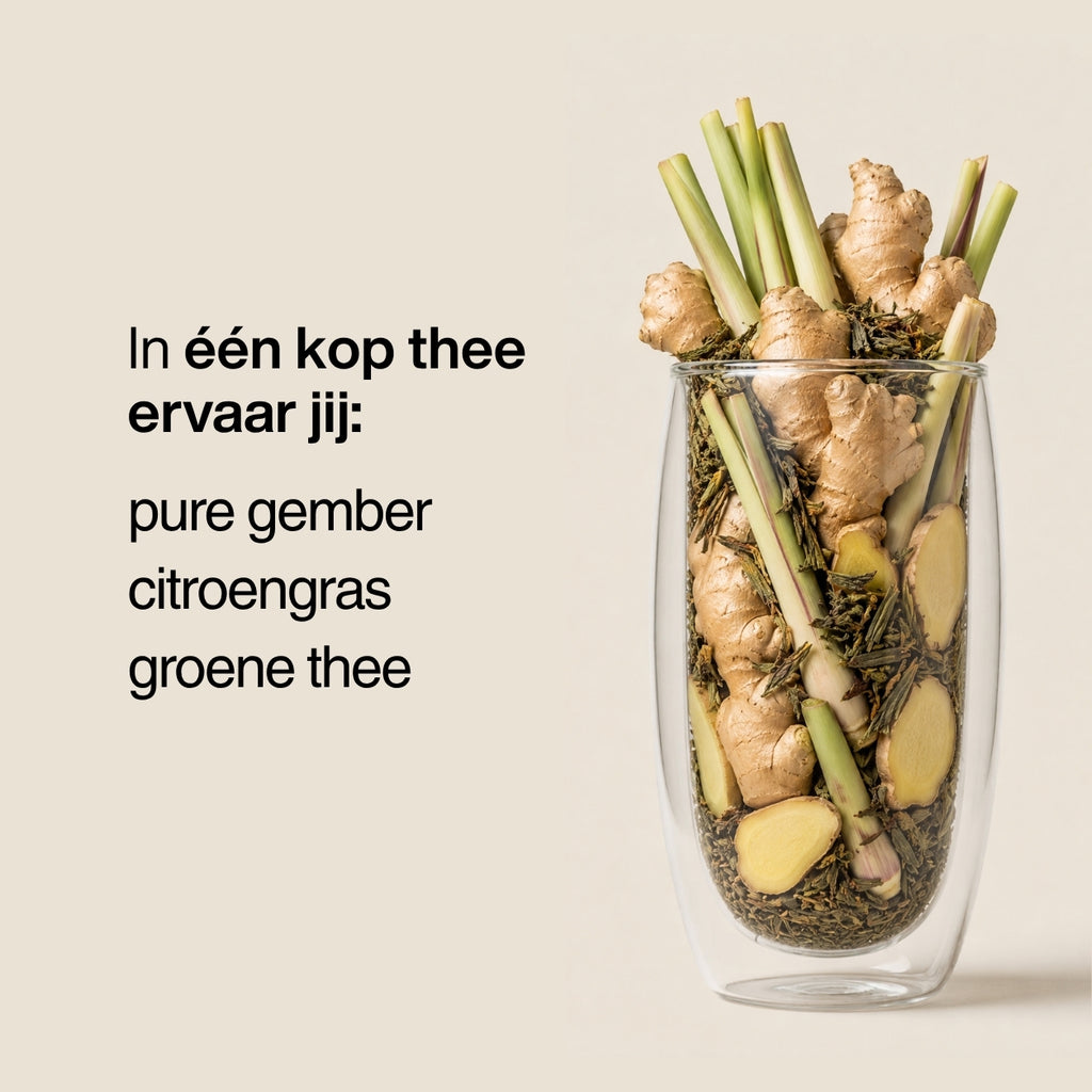 Gember & Citroen | Fris, licht & citrusachtig