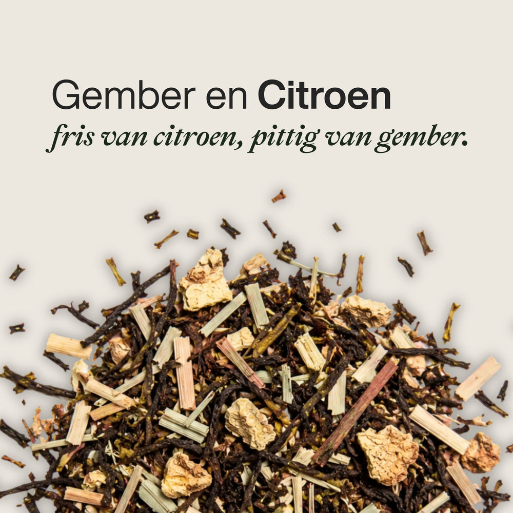 Gember & Citroen | Fris, licht & citrusachtig