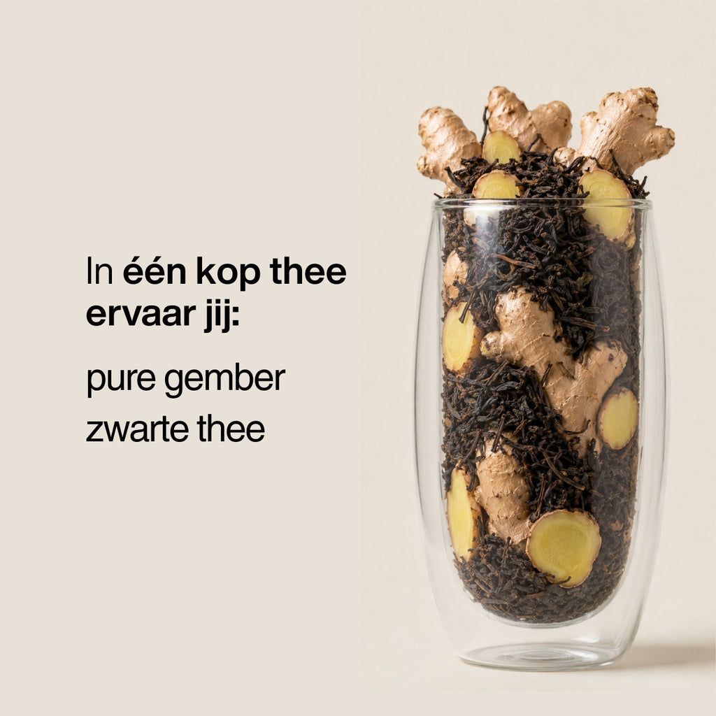 Gember met Zwarte Thee | Krachtig & energiek